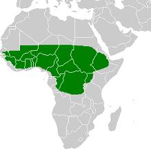 Africa Map Shea Plant Region