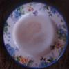 Plate Front